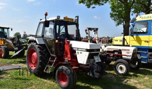 David Brown 1290 recensioni e scheda tecnica