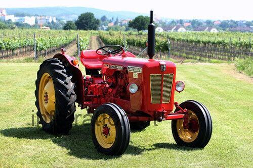 David Brown 770 recensioni e scheda tecnica 