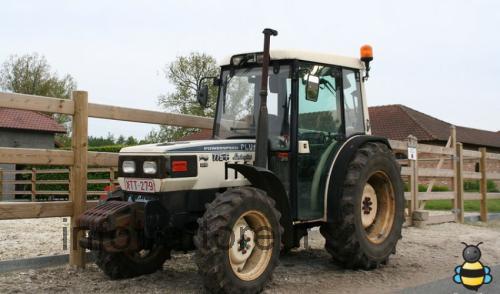 Lamborghini 775 scheda tecnica 