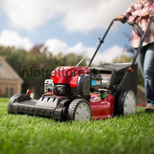 Troy-Bilt TB230 recensioni e scheda tecnica